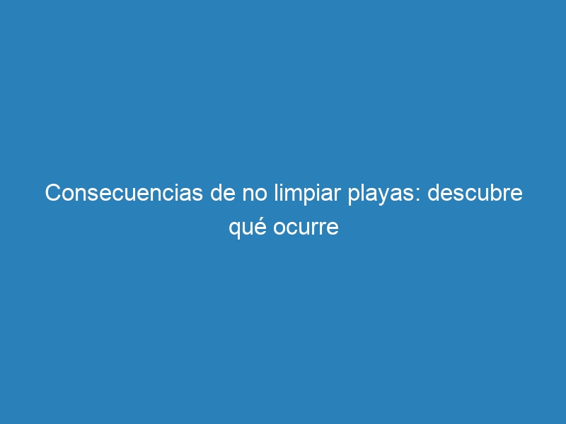Consecuencias de no limpiar playas: descubre qué ocurre