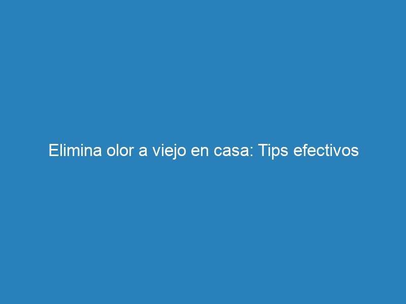 Elimina olor a viejo en casa: Tips efectivos