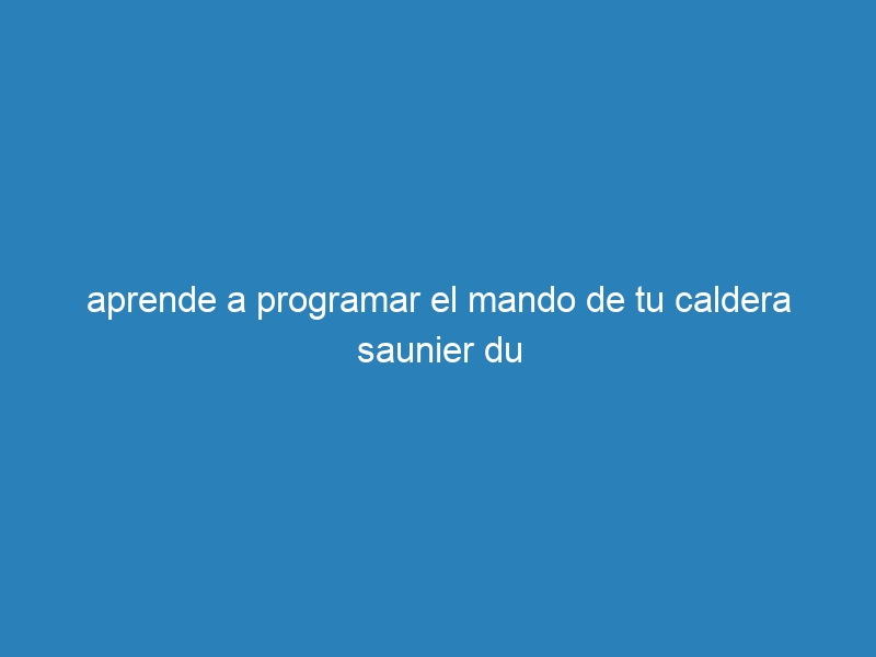 aprende a programar el mando de tu caldera saunier du