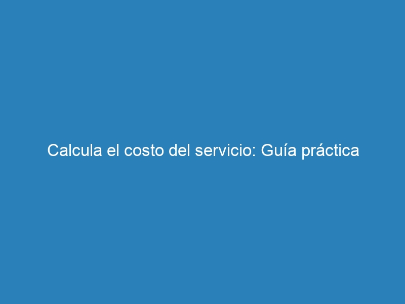 Calcula el costo del servicio: Gu&iacute;a pr&aacute;ctica