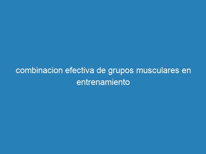 combinacion efectiva de grupos musculares en entrenamiento