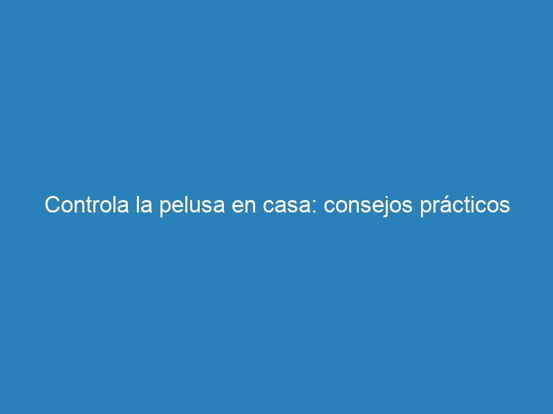 Controla la pelusa en casa: consejos pr&aacute;cticos
