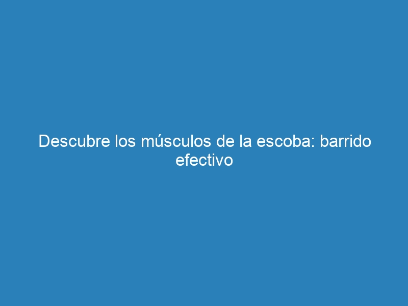 Descubre los músculos de la escoba: barrido efectivo