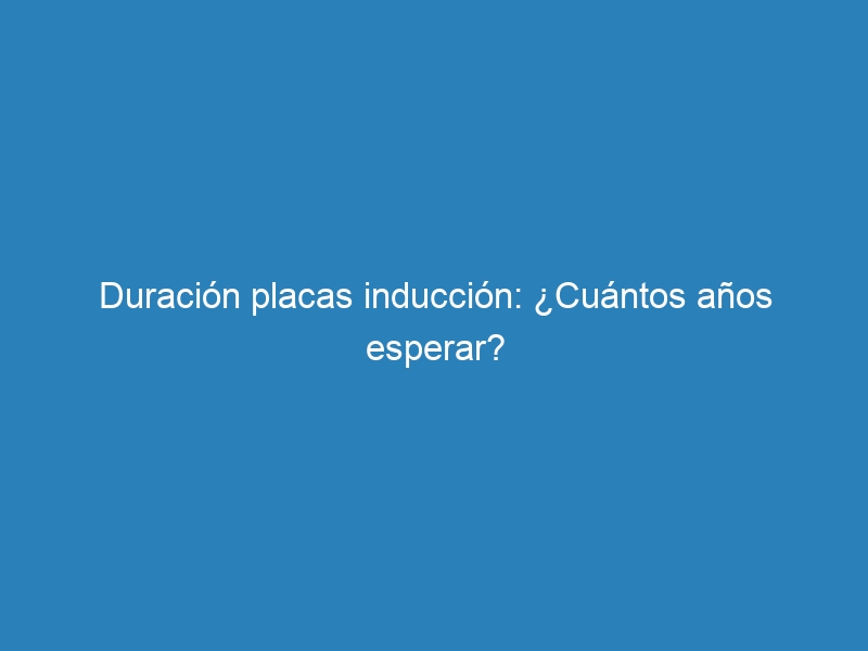 Duraci&oacute;n placas inducci&oacute;n: &iquest;Cu&aacute;ntos a&ntilde;os esperar?