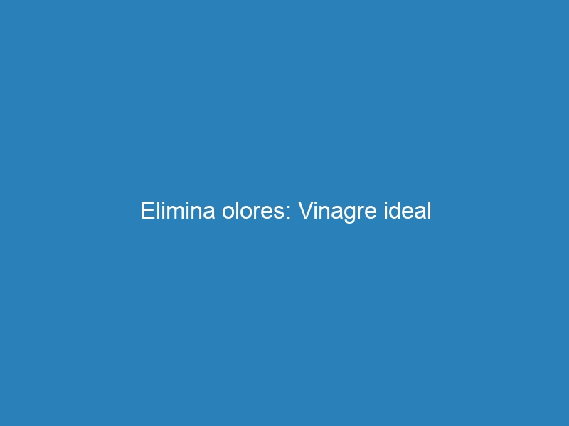 Elimina olores: Vinagre ideal