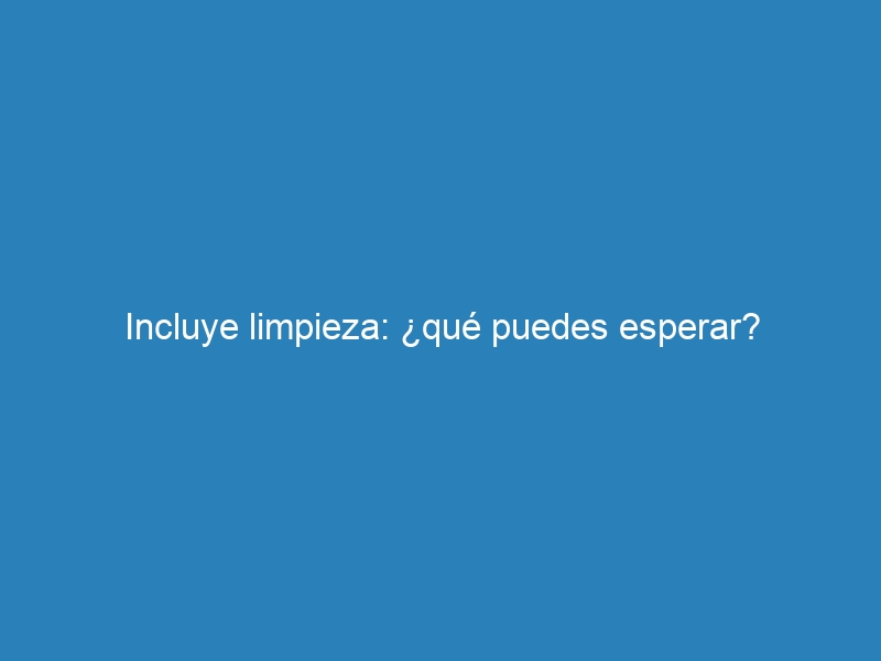 Incluye limpieza: ¿qué puedes esperar?