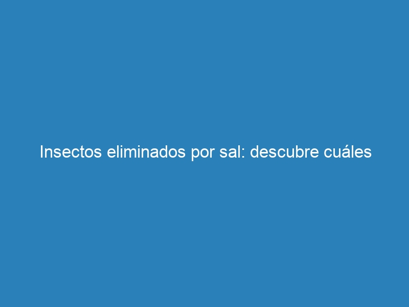 Insectos eliminados por sal: descubre cuáles