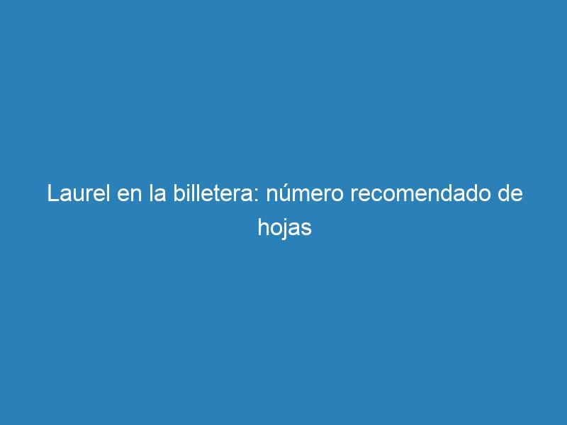 Laurel en la billetera: n&uacute;mero recomendado de hojas
