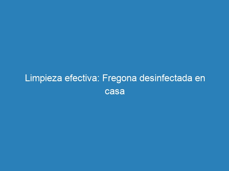 Limpieza efectiva: Fregona desinfectada en casa