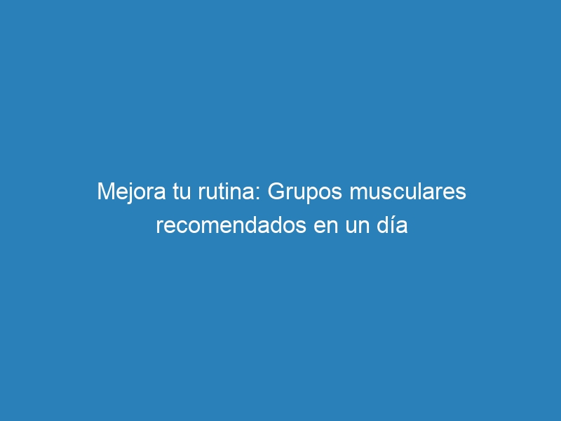 Mejora tu rutina: Grupos musculares recomendados en un d&iacute;a