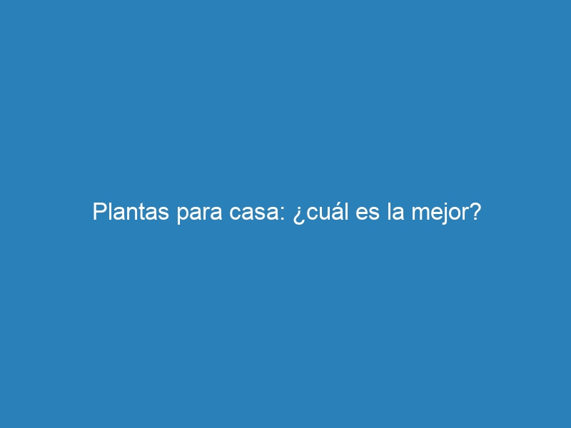 Plantas para casa: ¿cuál es la mejor?