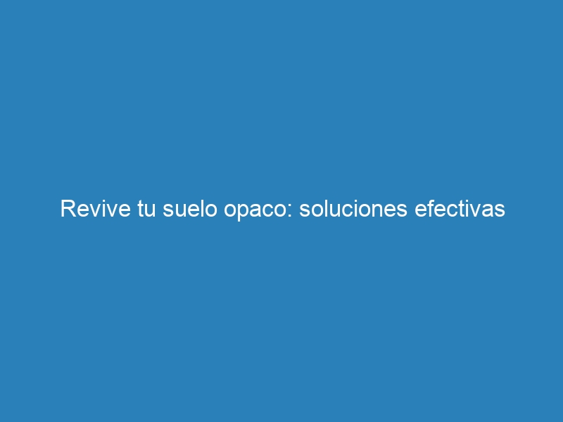 Revive tu suelo opaco: soluciones efectivas